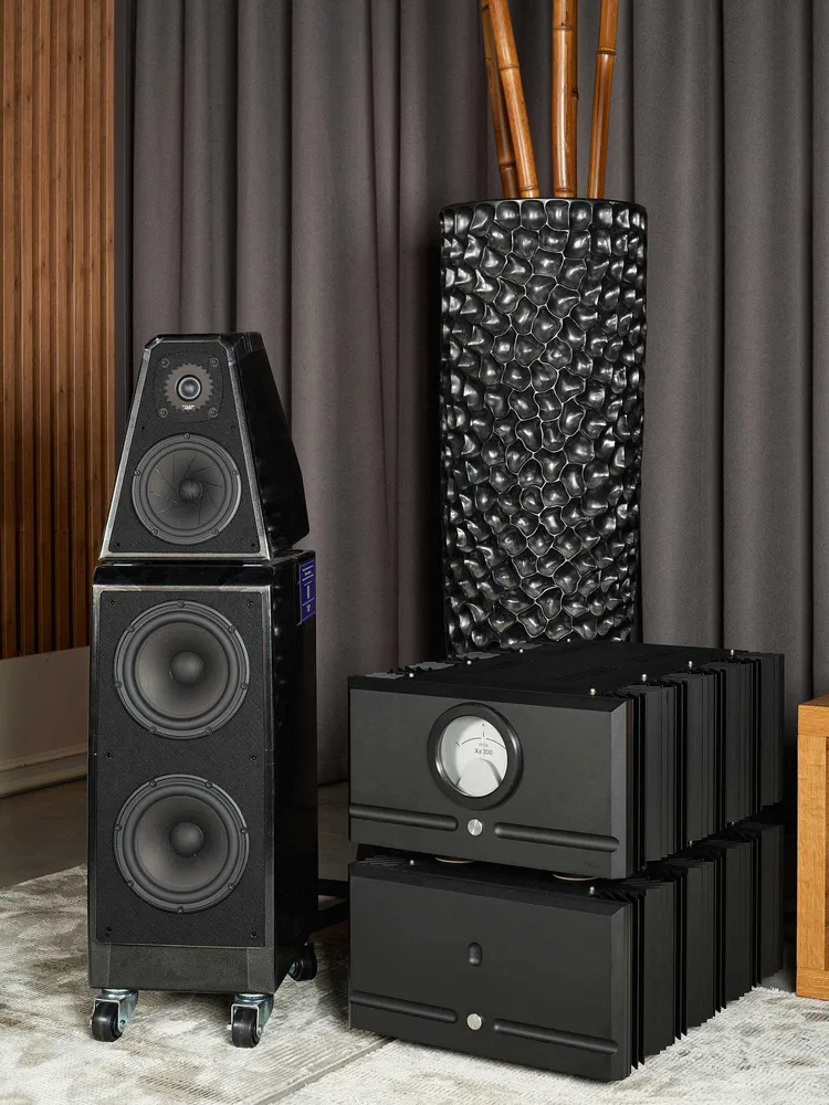 Pass Labs XS 300 и Wilson Audio Watt/Puppy